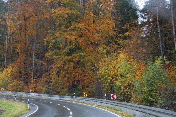 Mixed forest in autumn colors in Franconia on the B2 Nuremberg-Bayreuth, Upper Franconia, Bavaria, Germany