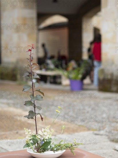Floral arrangement made during an ikebana workshop, showcasing artistic composition and natural elements