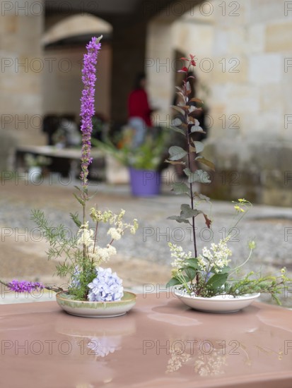 Two beautiful ikebana arrangements stand on a shiny table, reflecting their vibrant colors and delicate forms, during a workshop