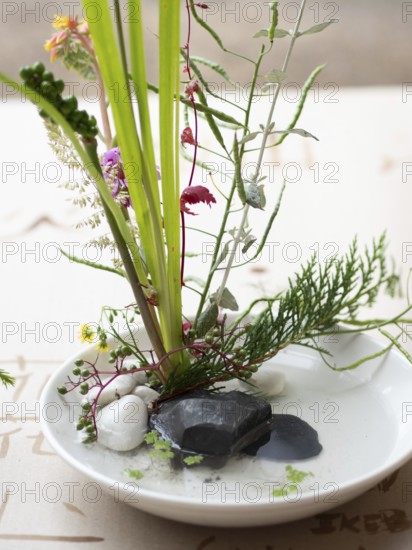 Delicate ikebana flower arrangement in a white bowl with stones and water, showcasing japanese art and tranquility