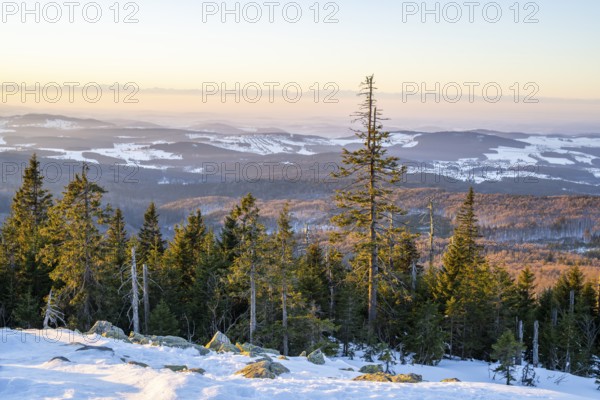 View from Mount Lusen over the hills of the bavarian forest at sunrise in winter, Bavaria, Germany