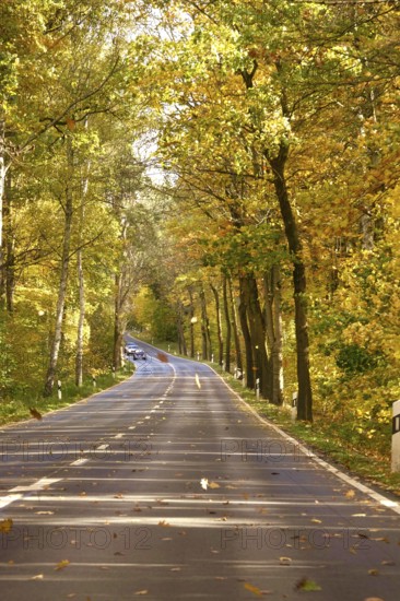 Car Road in autumn, autumn leaves, Germany