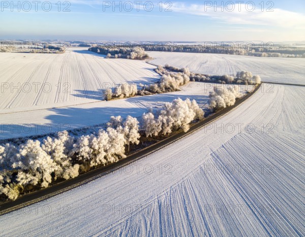 Bird Eye Perspective of Frost Covered Farmland. Seasonal Agricultural Scenery, winter and autumn scene, blue sky with golden light at sunrise, AI generated
