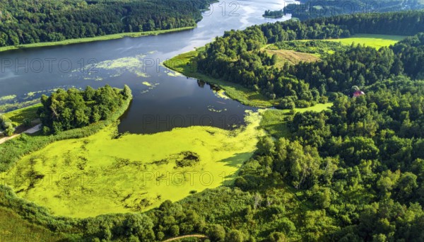 Green algae on the lake. Aerial view of nature, landscape with hills and forest in summer, cloudy sky, golden light at sunset, AI generated