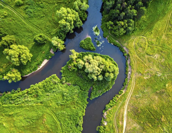 Ecology and environment concept. Green wilderness nature from above. Aerial view on meandering river landscape with trees and meadows. Healthy nature with tranquil atmosphere, AI generated