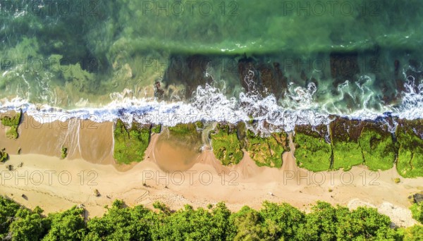 Green algae on the sandy shore of an ocean. Fascinating phenomenon of wild coastline with green plants, white sands, stone, blue water and cliffs, Aerial view of a beautiful abstract unreal and textured landscape, AI generated