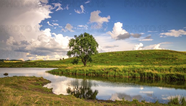 Single and lonely tree near to a lake, meadow and lot of wild grass around, hilly wilderness landscape with blue sky, beautiful clouds on the horizon, nobody around, concept of freedom, traveling and beauty of nature, AI generated