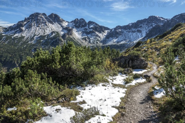 Hiking trail around the pulpit in autumn vegetation, in the back mountains of the Allgäu Alps, Allgäu, Vorarlberg, Austria