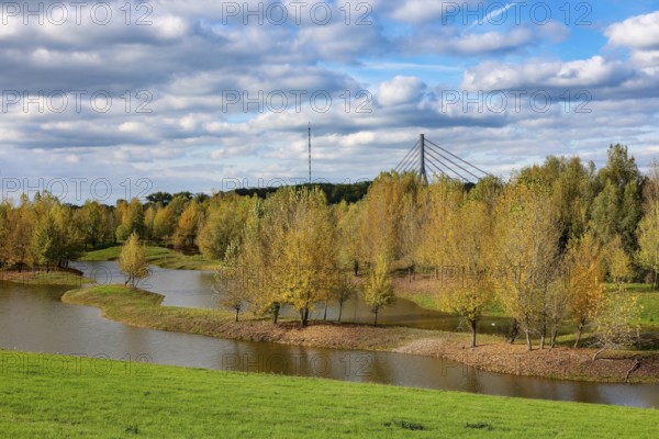 Wesel, Lower Rhine, North Rhine-Westphalia, Germany - autumn on the Lippe, trees with colorful autumn leaves in the restored river floodplain area of Büdericher Insel above the mouth of the Lippe into the Rhine, Lippe estuary nature reserve, in the back the Lower Rhine bridge Wesel