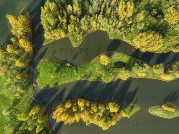 Wesel, Lower Rhine, North Rhine-Westphalia, Germany - autumn on the Lippe, trees with colorful autumn leaves in the restored river floodplain area of Büdericher Insel above the mouth of the Lippe into the Rhine, Lippe estuary nature reserve