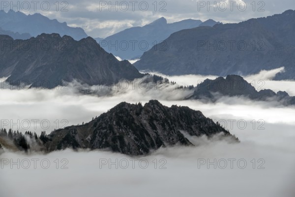 View from the Nebelhorn summit to mountains of the Allgäu Alps, mountains rising from fog in the valley, Oberstdorf, Oberallgäu, Allgäu, Bavaria, Germany