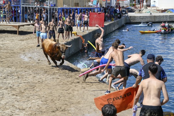 Bous a la Mar Fair, in English Bulls in the Sea, Bullfighting, Javea or Xàbia, Alicante Province, Comunidad Valenciana, Spain