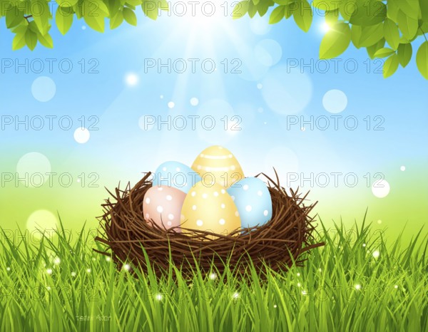 Nest with easter eggs in grass on a sunny spring day, Easter wallpaper decoration drawing, banner, panorama, background, abstract vector illustration, AI generated