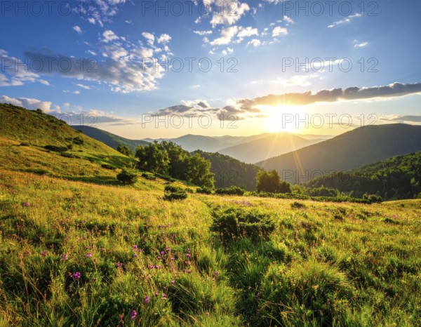 Fresh summer hilly Landscape with blooming Meadow, green plants, Blue Sky with cloudy sky, serene nature background, AI generated