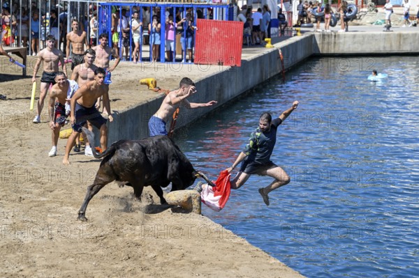 Bous a la Mar Fair, in English Bulls in the Sea, Bullfighting, Javea or Xàbia, Alicante Province, Comunidad Valenciana, Spain