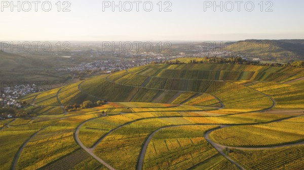 Golden autumn over the vineyards of Weinstadt Beutelsbach, Baden-Württemberg, Germany
