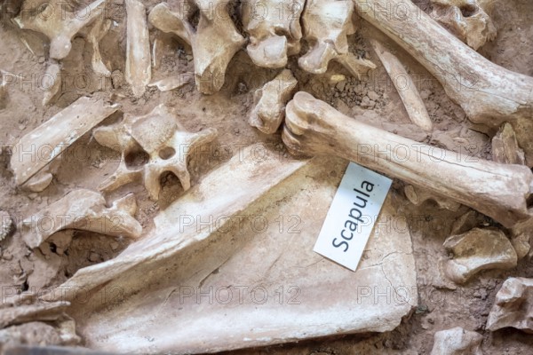 Beulah, Wyoming - The Vore Buffalo Jump, a sinkhole used by Plains Indians as a trap for bison from about 1550 through 1800. Archaeologists have uncovered thousands of bones, though only about 10 percent of the site has been excavated