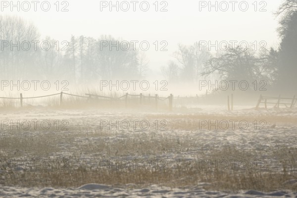 Winterlandschaft, aufsteigender Bodennebel im Licht der Morgensonne, Nordrhein-Westfalen, Deutschland
