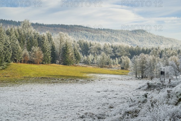 Meadow in a valley surrounded by a mixed forest with norway spruce (Picea abies) and European beech (Fagus sylvatica) white from roarfrost, on a sunny day in winter, Bavaria, Germany