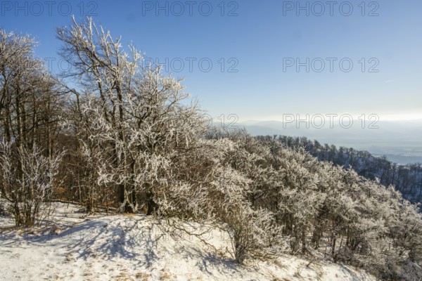 View over the hills and valleys from the mountain with hoarfrost on the branches in winter, Vápec, Horná Poruba, Slovakia