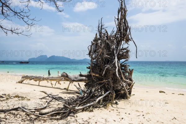 White sandy beach, Sunrise Beach, Koh Kradan, Hat Chao Mai National Park, Trang Province, Southern Thailand, Andaman Sea, Thailand