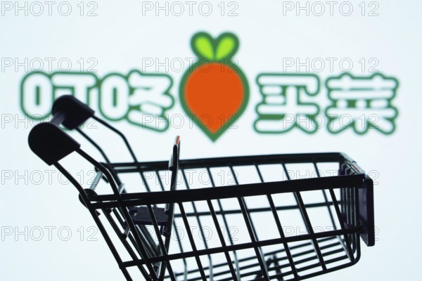 Dhaka, Bangladesh- 03 July 2025: Silhouette of a shopping cart in front of the Dingdong Maicai logo, symbolizing ecommerce and online shopping