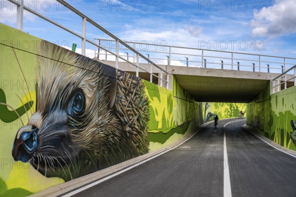New bicycle tunnel at the junction of the B51 and Warendorfer Straße, in Münster, a bicycle and pedestrian tunnel, 150 metres long, 5.50 metres wide, crosses under the busy roads so that cyclists and pedestrians can pass without crossing, route to and from Münster city centre, visually designed with local motifs as murals, by Lackaffen.de, modern bicycle infrastructure, North Rhine-Westphalia, Germany