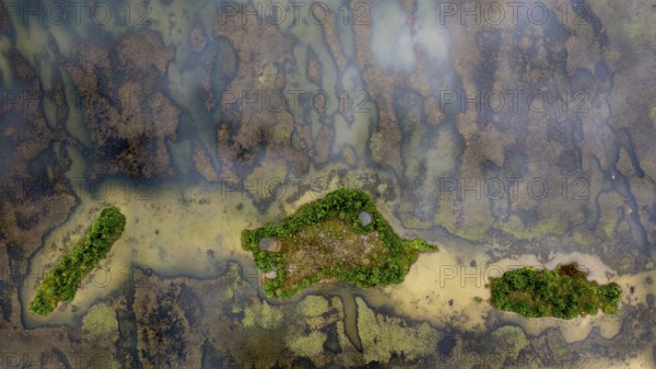 Aerial view, islands in the Drau, river, Carinthia, Austria