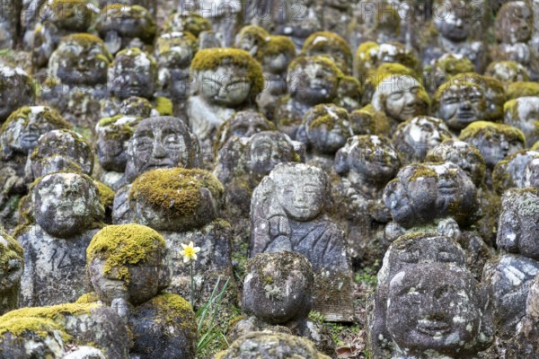 Rakan statues at Otagi Nenbutsuji Temple, stone, moss-covered, Ukyo-ku, Kyoto, Kyoto Prefecture, Japan
