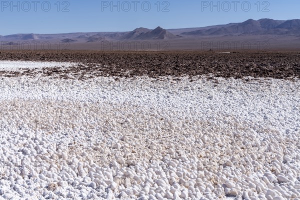 Coloured salt formations at the Lagunas Escondidas de Baltinache, Atacama Desert, Toconao, San Pedro de Atacama, Región de Antofagasta, Chile