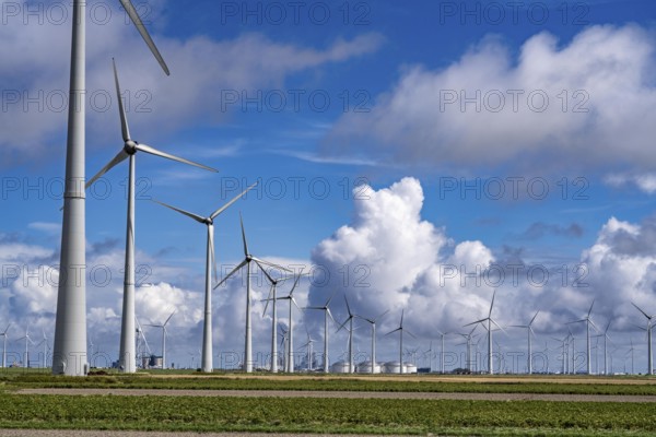 Wind farms Westereems and Growind, in the north of the Netherlands, near Eemshaven, energy centre, in addition to wind energy there are coal and gas-fired power plants and various energy infrastructure facilities, Netherlands