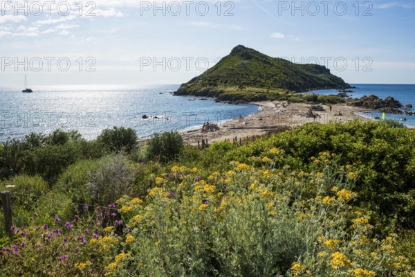 Wild beach, Sentier du littoral, Plage Ranc, Cap Taillat, Saint Tropez, Var, French Riviera, Provence-Alpes-Cote d'Azur, Cote d Azur, France
