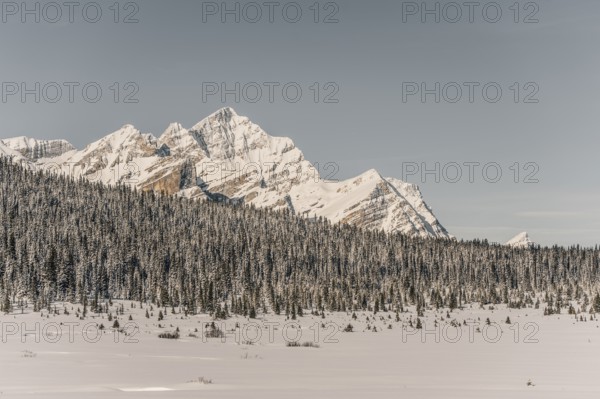 Winter road trip on the Icefields Parkway with lots of snow and ice, Banff National Park, Jasper National Park, Alberta, Canada