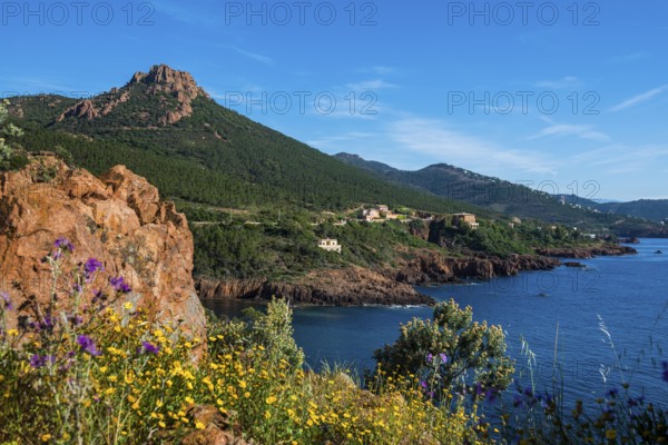 Picturesque coast and red rocks, near Anthéor, Saint-Raphaël, Massif de l'Esterel, Esterel Mountains, Département Var, Cote d'Azur, Provence-Alpes-Côte d'Azur, France