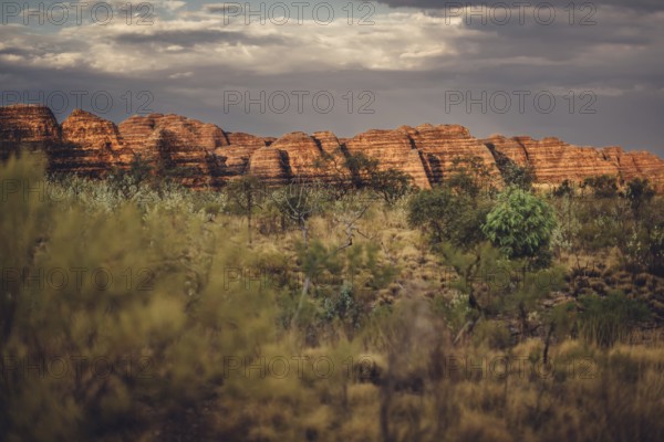 Bungle Bungle Range, Outback, hiking in Australia in high heat, Western Australia, Australia