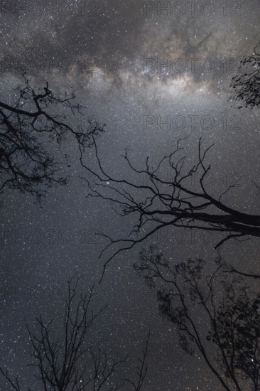 Milky Way Australian Outback, Australia