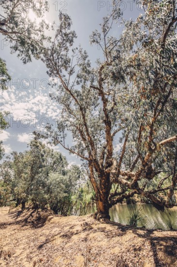 River and other waters in the outback in the north of Australia