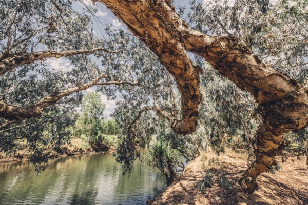 River and other waters in the outback in the north of Australia
