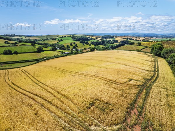 DefaultFarms and Fields over Torquay from a drone, Devon, England, United Kingdom