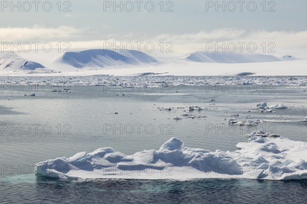 Drift ice, sea ice, sea, mountain range, Faksevagen, Spitsbergen, Svalbard