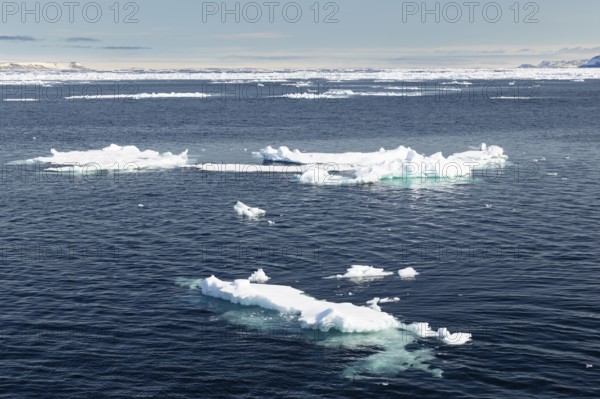 Drift ice, sea ice, sea, Faksevagen, Spitsbergen, Svalbard