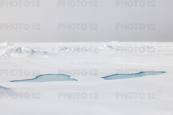Sea ice at the ice edge, 82nd parallel, Spitsbergen, Svalbard
