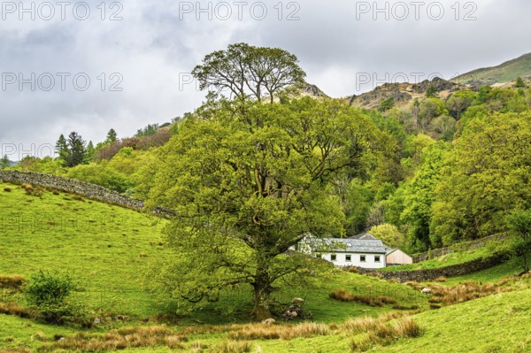 Farms in Lake District National Park, Cumbria, England, United Kingdom