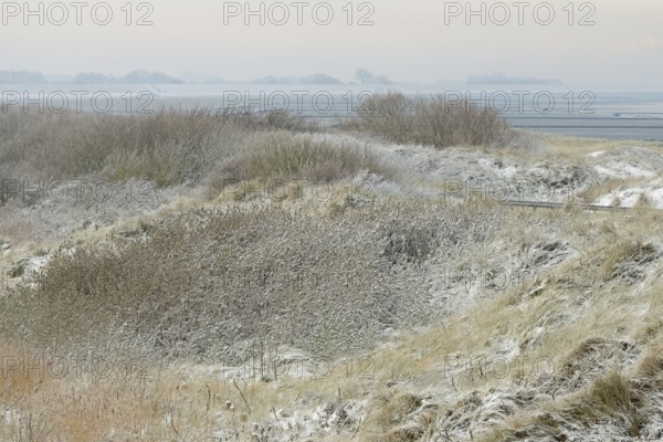 View over the snow-covered dune landscape of Norddeich, Wadden Sea at low tide, North Sea, Lower Saxony, Germany