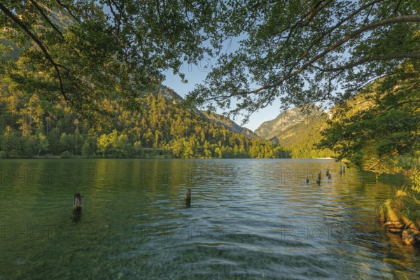 Sunrise in summer at Lake Thumsee near Bad Reichenhall