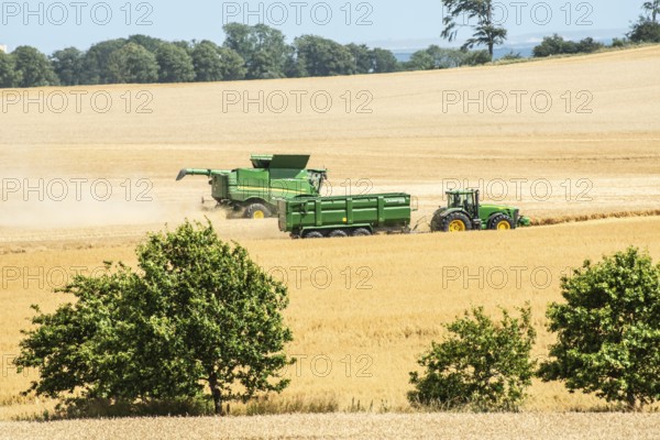 Landscape with threshing of grain with combine harvester at Ystad, Skåne county, Sweden, Scandinavia