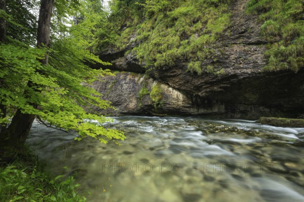 Wild and romantic Weißbach Gorge near Inzell