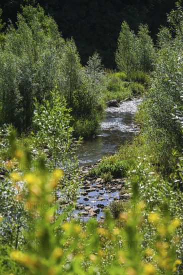 Bottrop, North Rhine-Westphalia, Germany - Renaturalised Boye, the tributary of the Emscher, was transformed into a near-natural watercourse, flood protection through newly designed flooding areas, the Boye is now free of sewage after the construction of a parallel sewer, is part of the Emscher river system and thus part of the Emscher conversion, was previously an open, above-ground wastewater channel, mixed water channel with surface water and wastewater