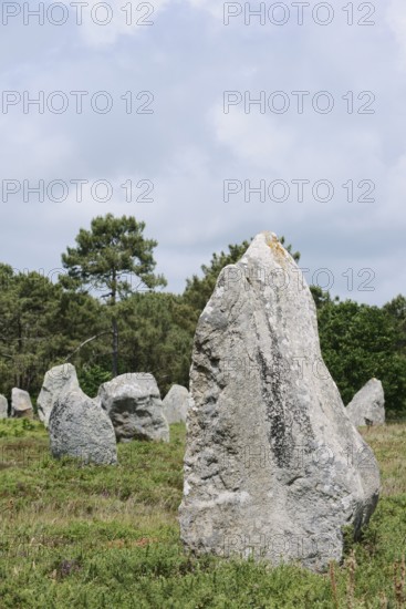 Megalithe, Alignements de Kermario, Carnac, Department of Morbihan, Brittany, France
