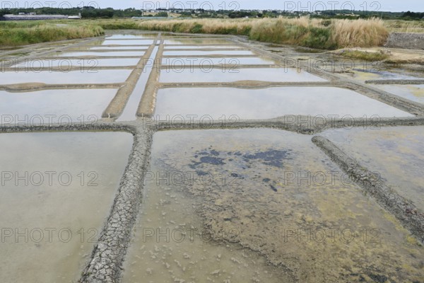 Seawater salt pans, Guerande, Loire-Atlantique, Pays de la Loire, Brittany, France